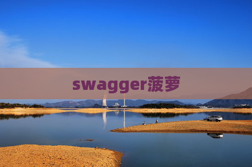swagger菠萝